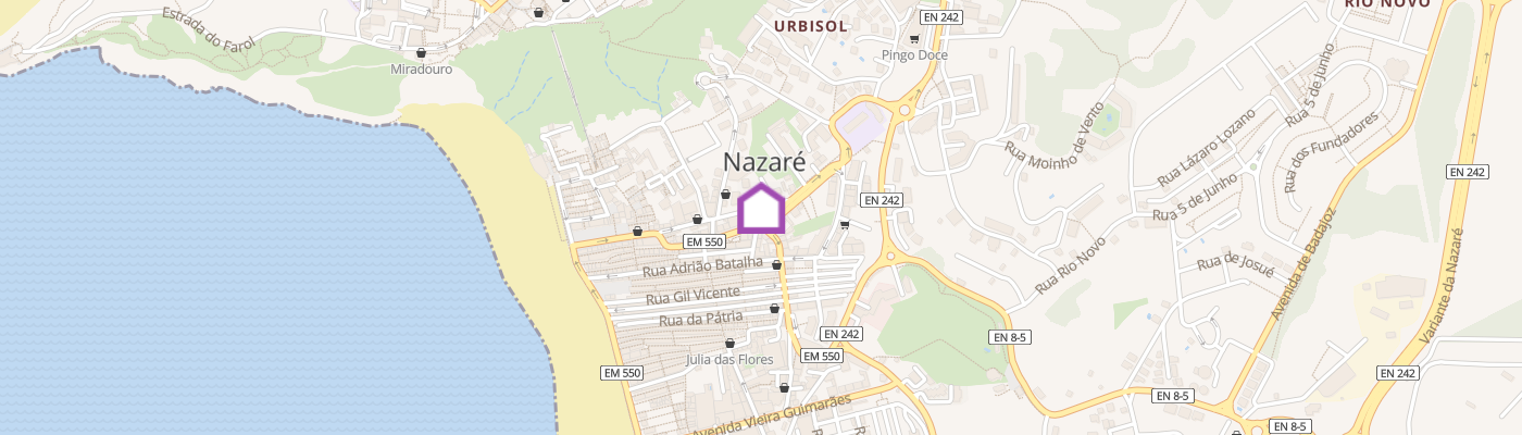 listing-map-picture