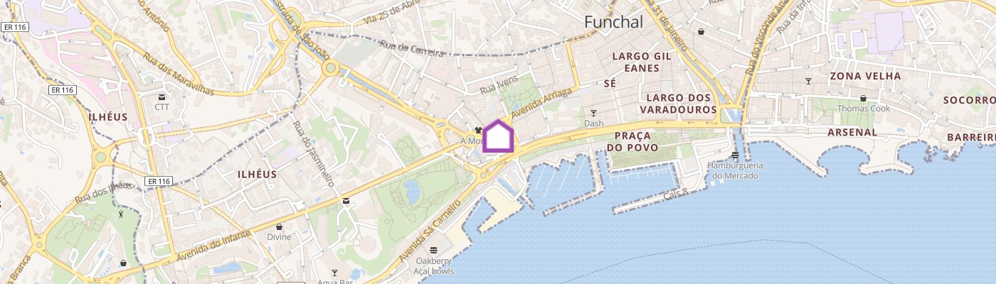 listing-map-picture