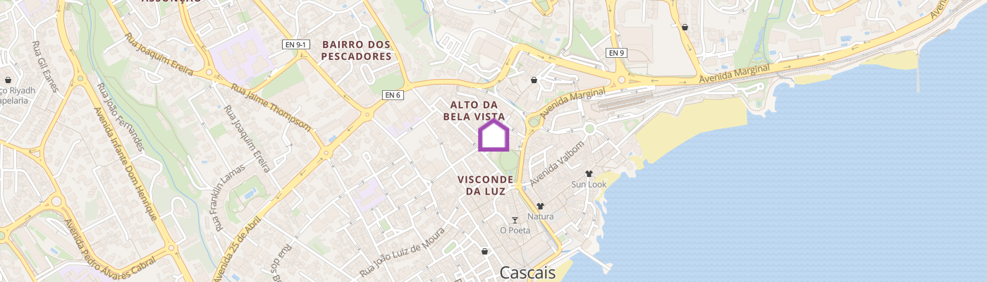 listing-map-picture