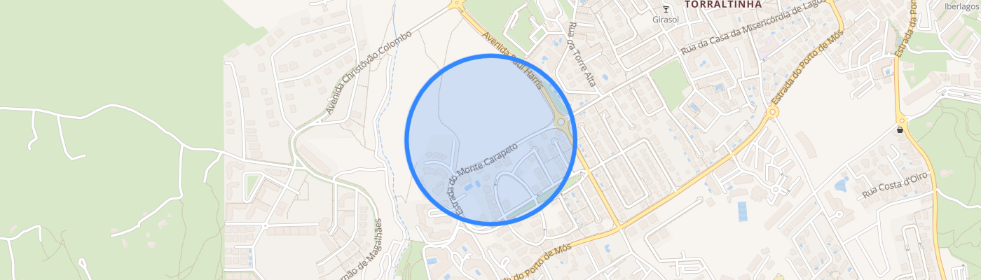 listing-map-picture