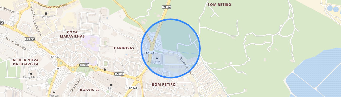 listing-map-picture