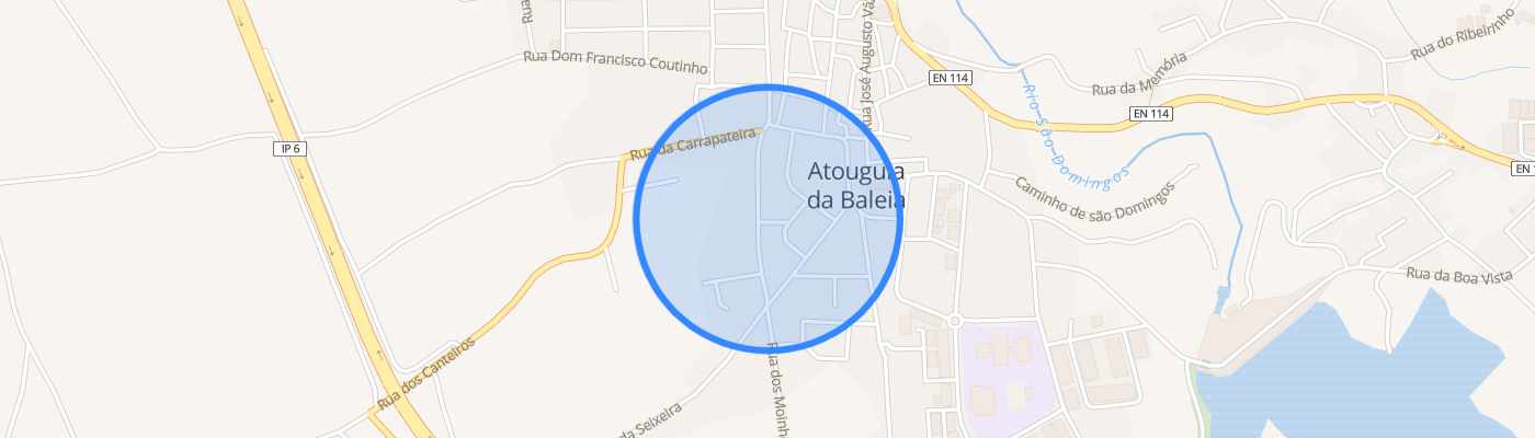 listing-map-picture