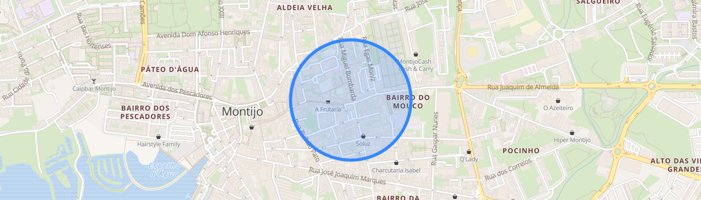 listing-map-picture