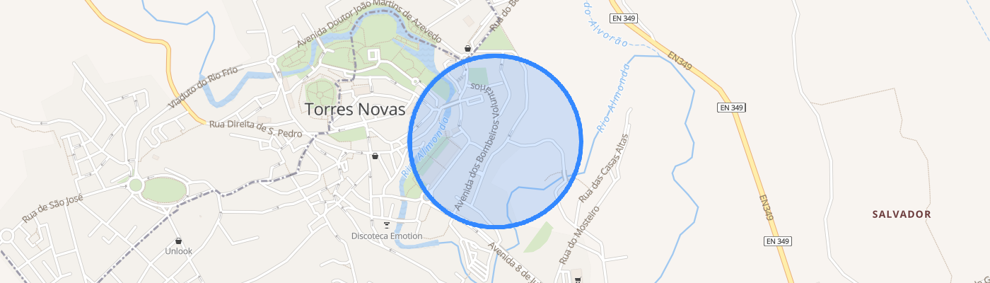 listing-map-picture