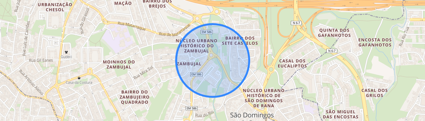 listing-map-picture