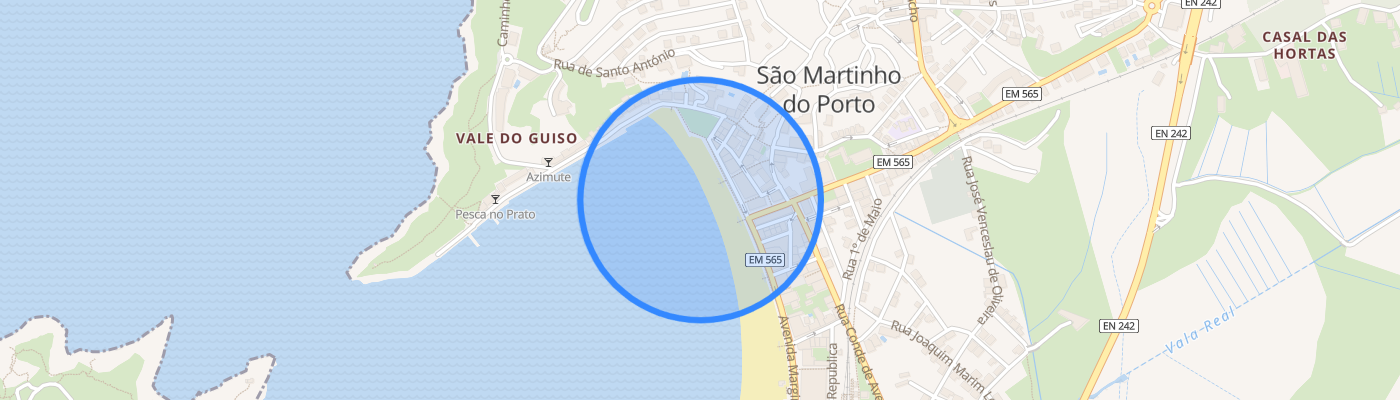 listing-map-picture