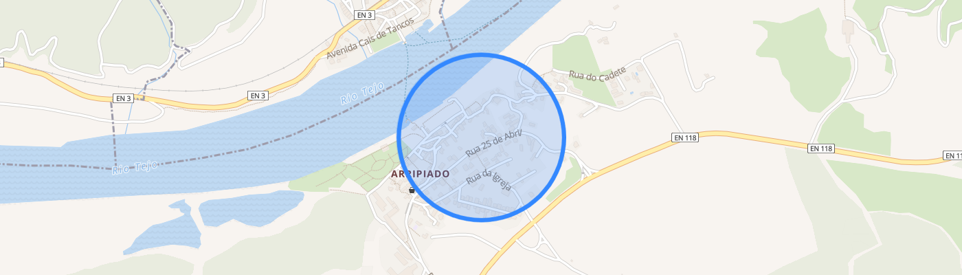 listing-map-picture
