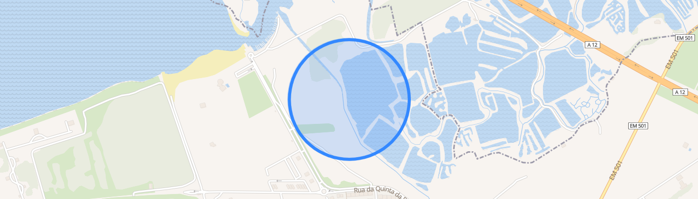 listing-map-picture