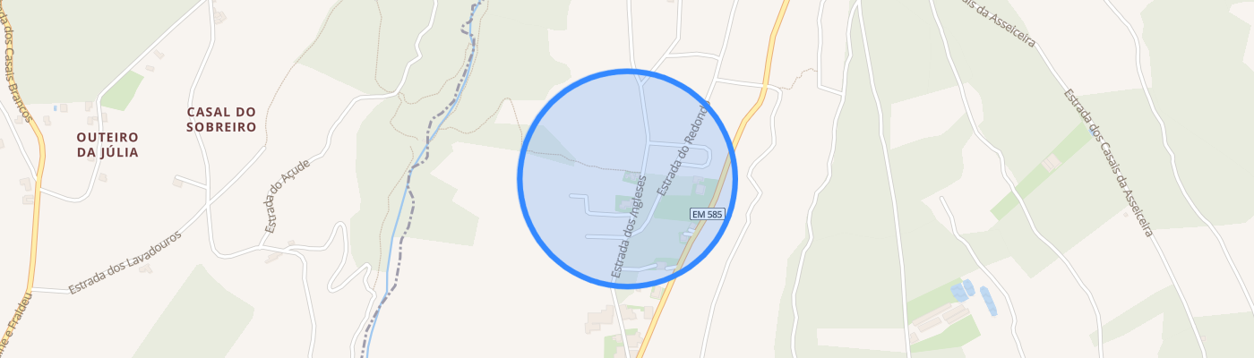 listing-map-picture