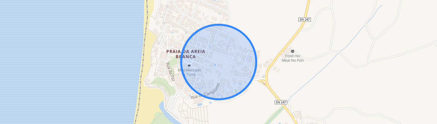 listing-map-picture