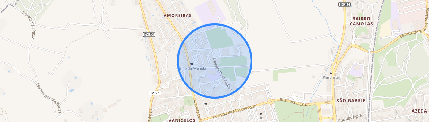 listing-map-picture