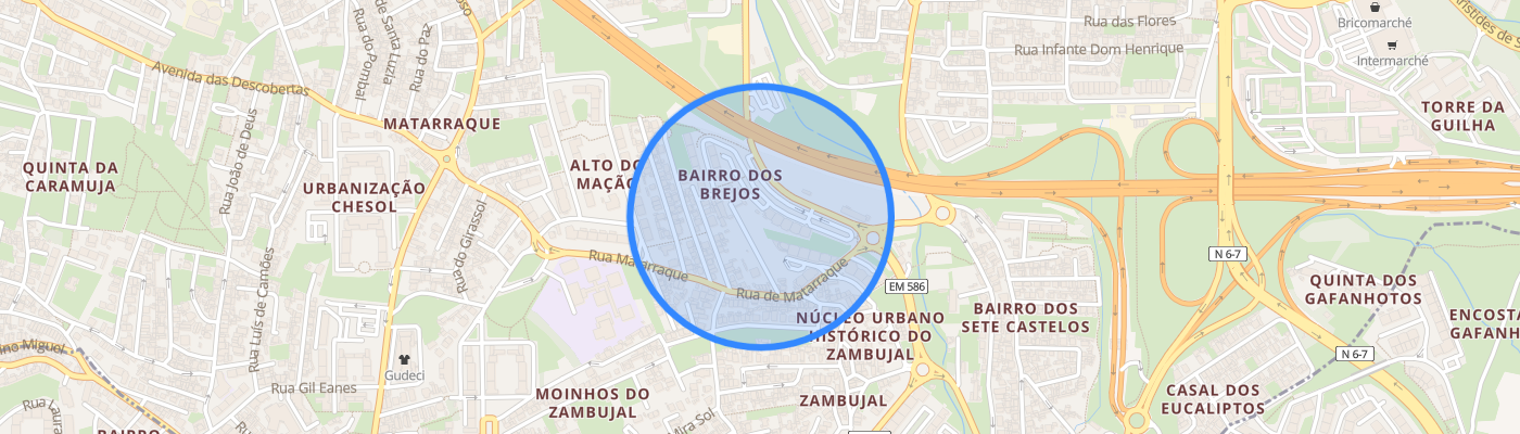 listing-map-picture