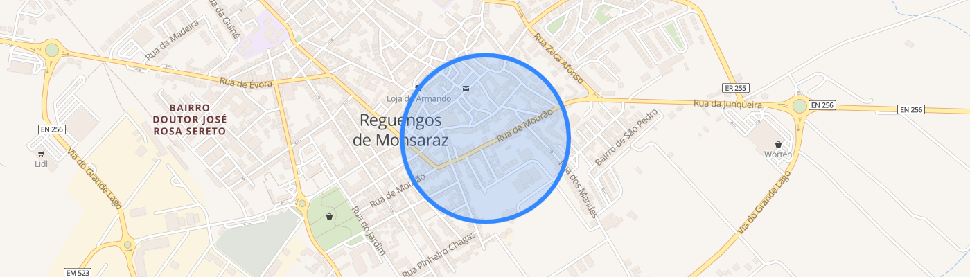 listing-map-picture
