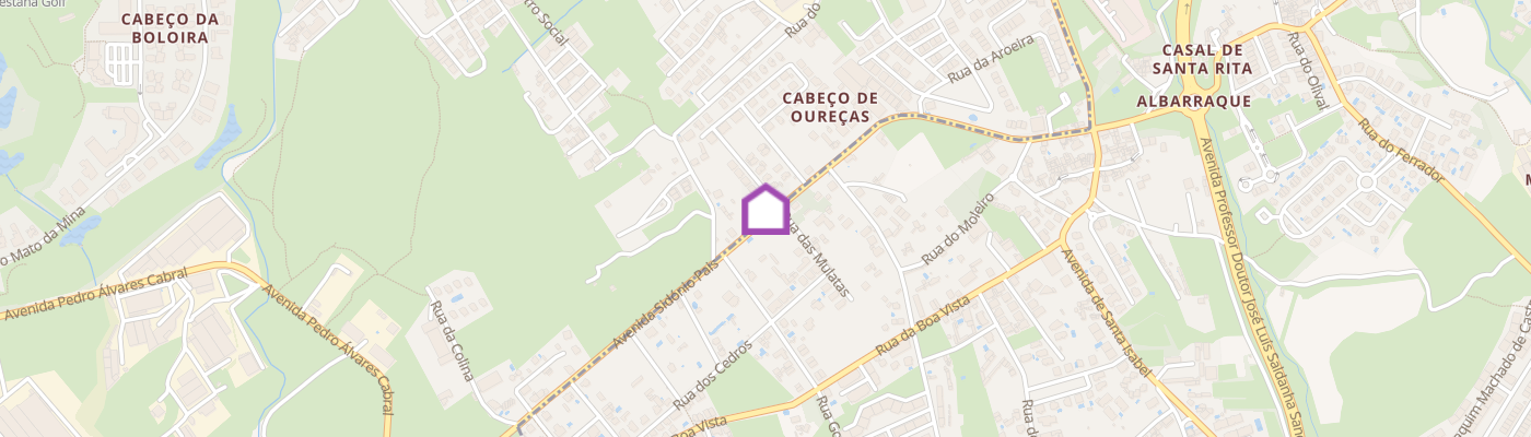 listing-map-picture