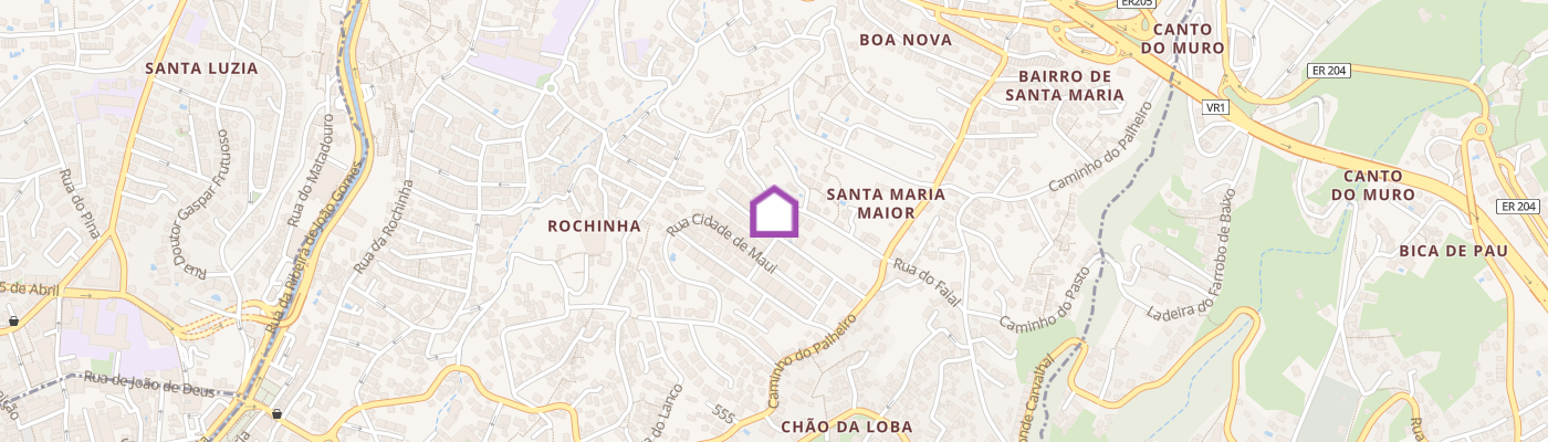 listing-map-picture
