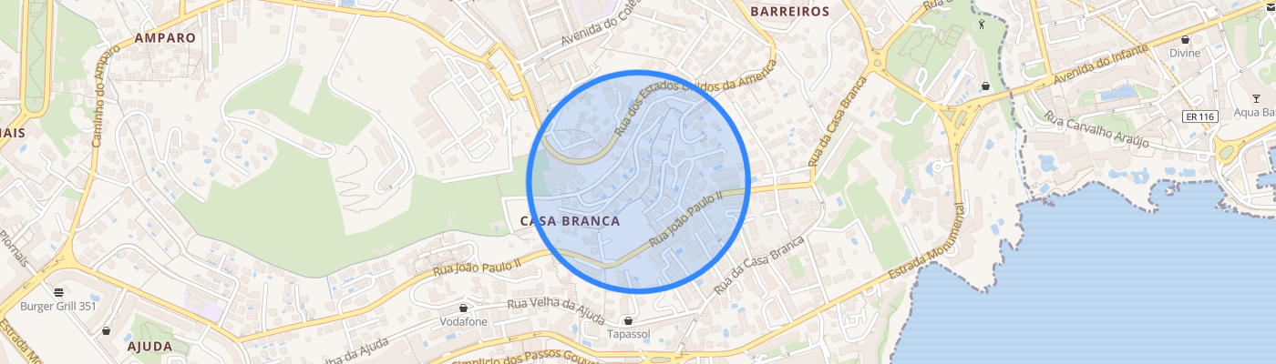listing-map-picture
