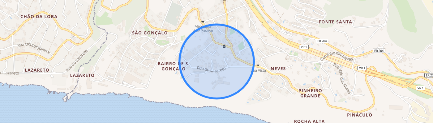 listing-map-picture