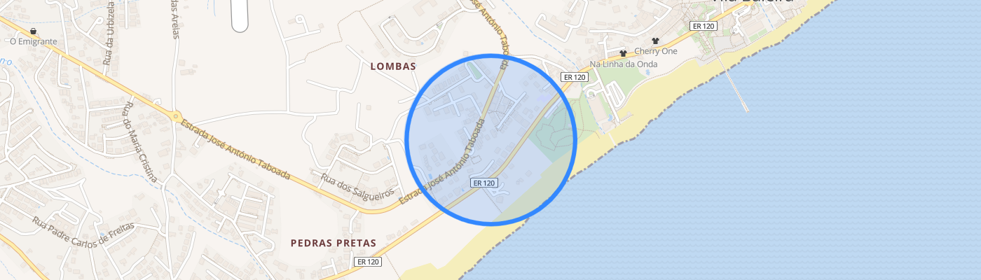 listing-map-picture