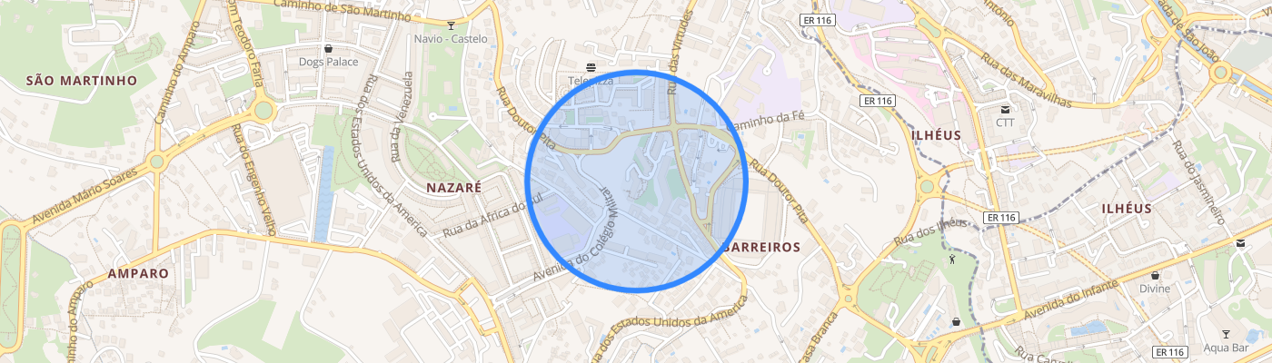 listing-map-picture