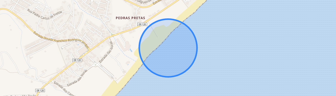 listing-map-picture