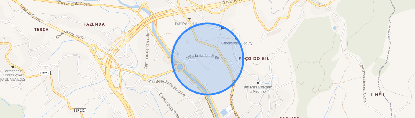 listing-map-picture