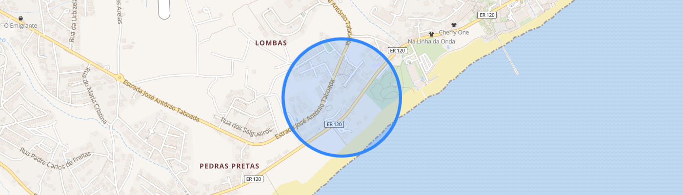 listing-map-picture