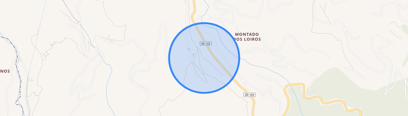 listing-map-picture
