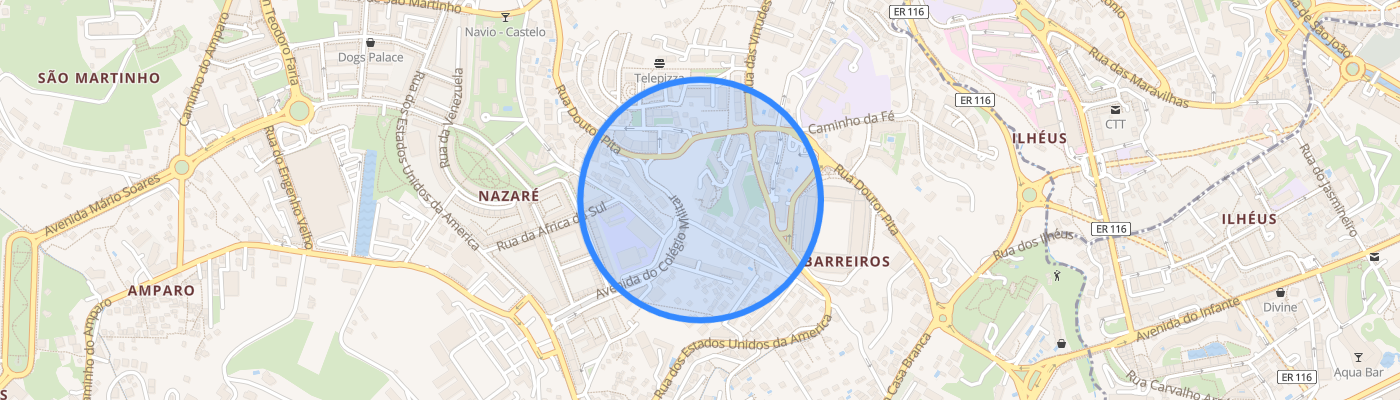 listing-map-picture