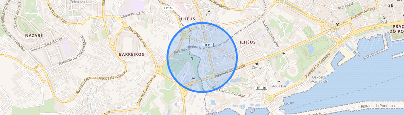 listing-map-picture