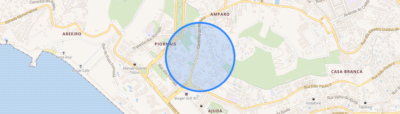 listing-map-picture