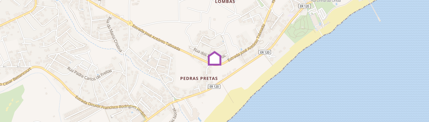 listing-map-picture