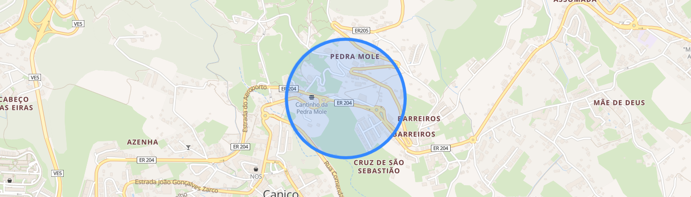 listing-map-picture