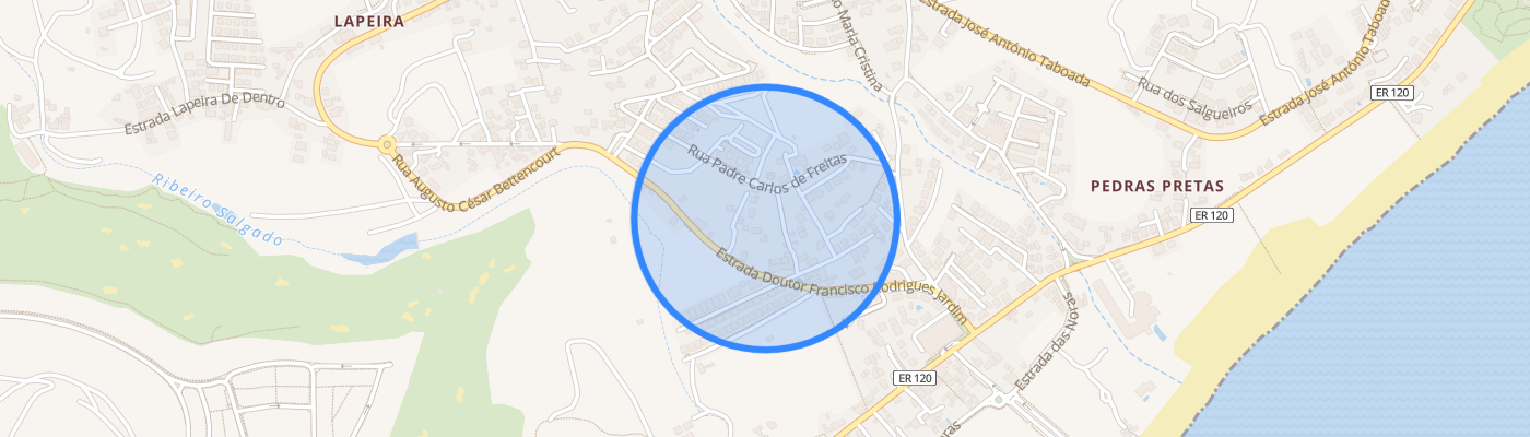 listing-map-picture