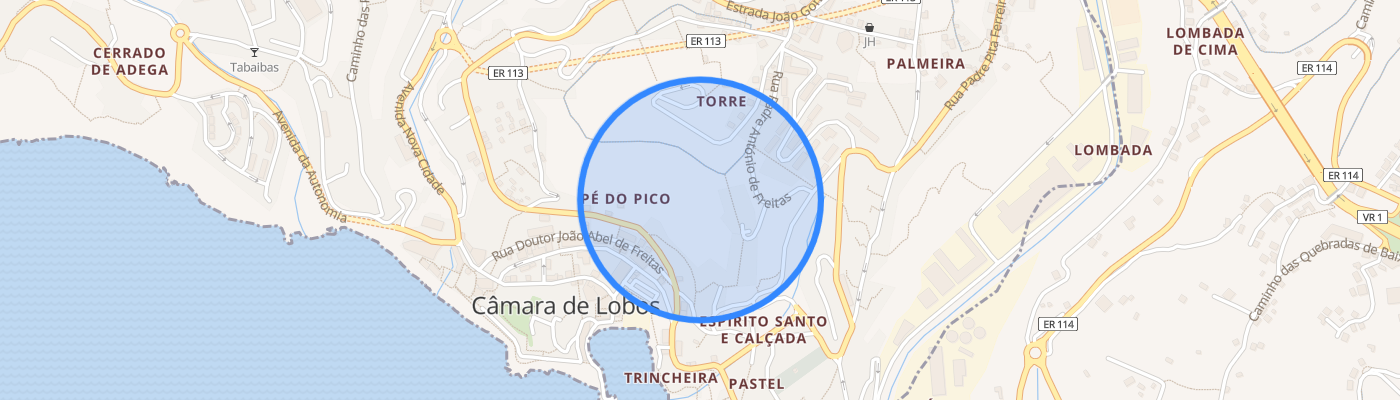 listing-map-picture