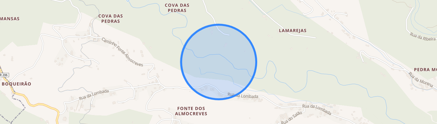 listing-map-picture