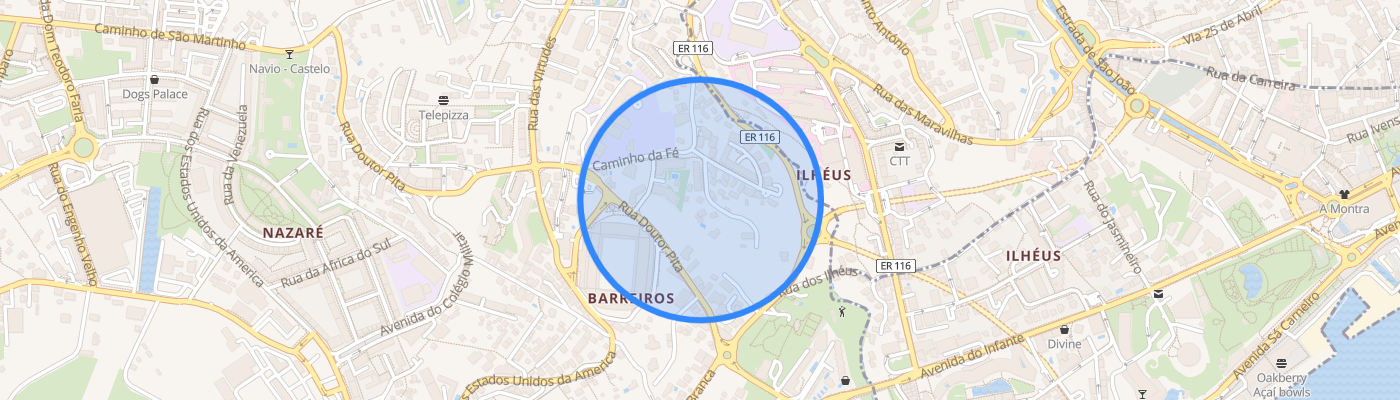 listing-map-picture