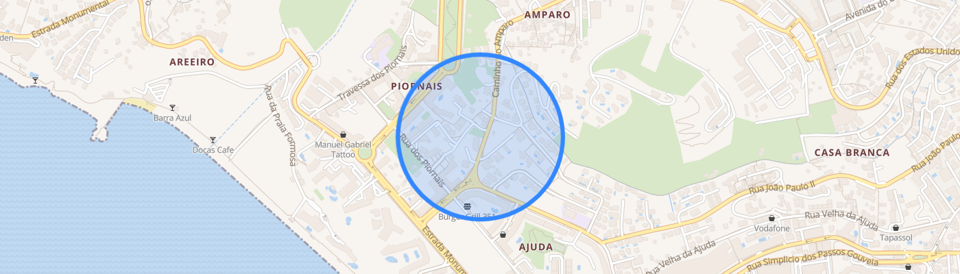 listing-map-picture