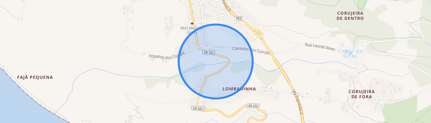 listing-map-picture