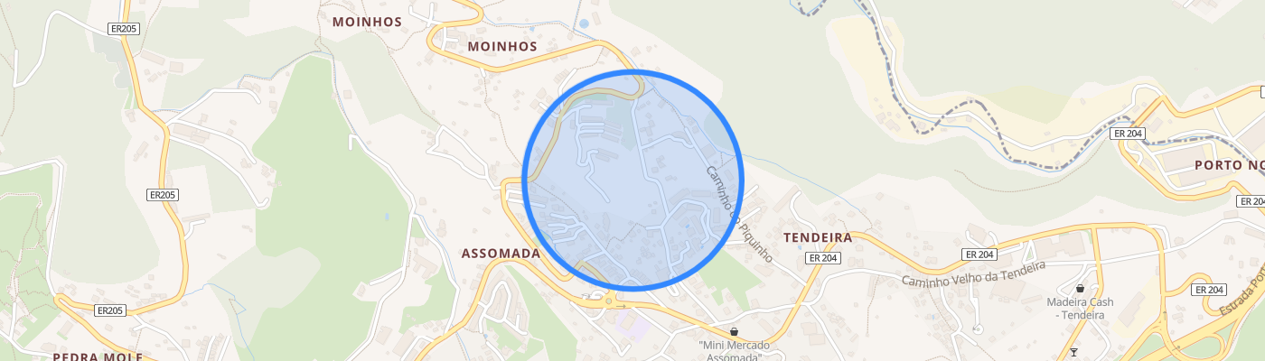 listing-map-picture