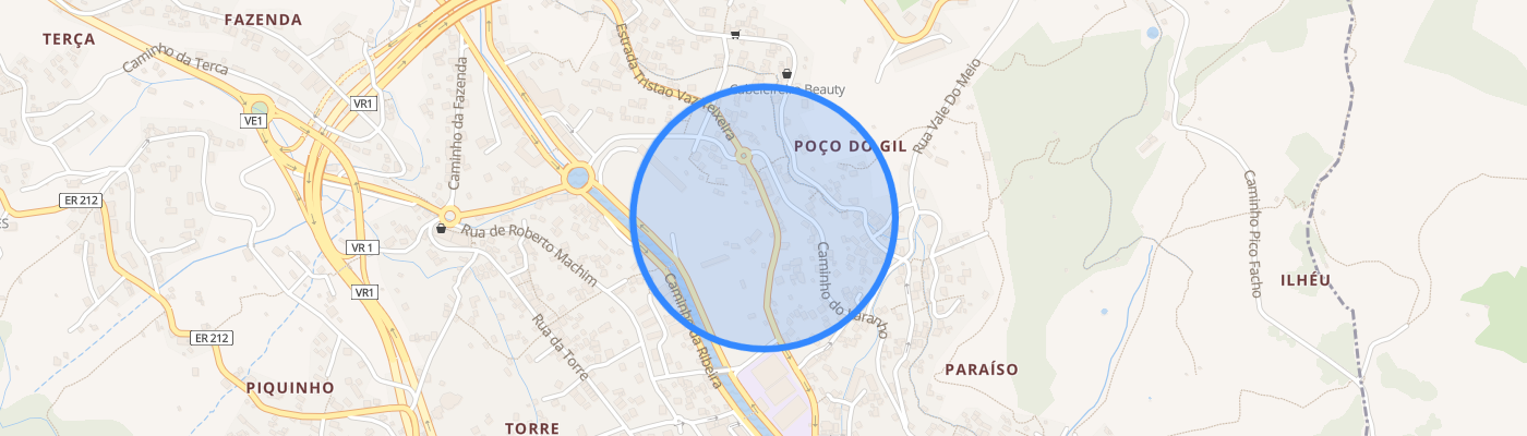 listing-map-picture