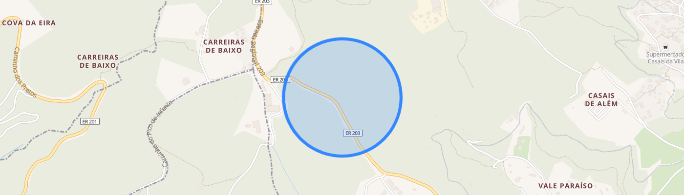listing-map-picture