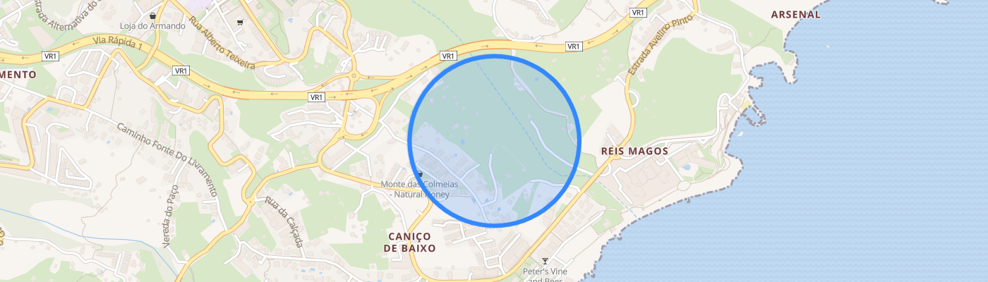 listing-map-picture