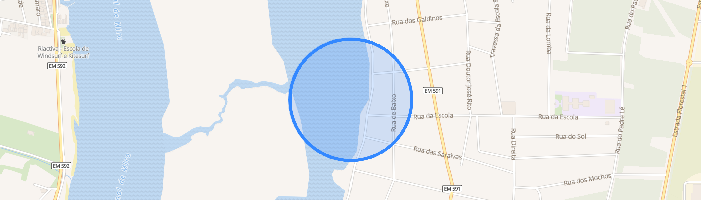 listing-map-picture