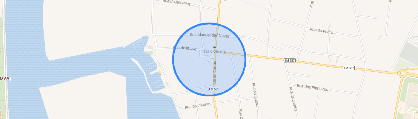 listing-map-picture