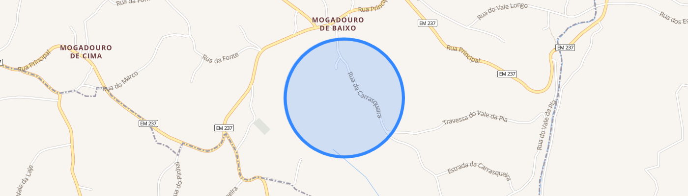 listing-map-picture