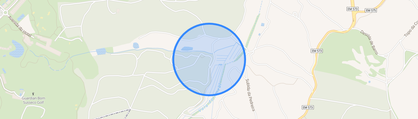 listing-map-picture