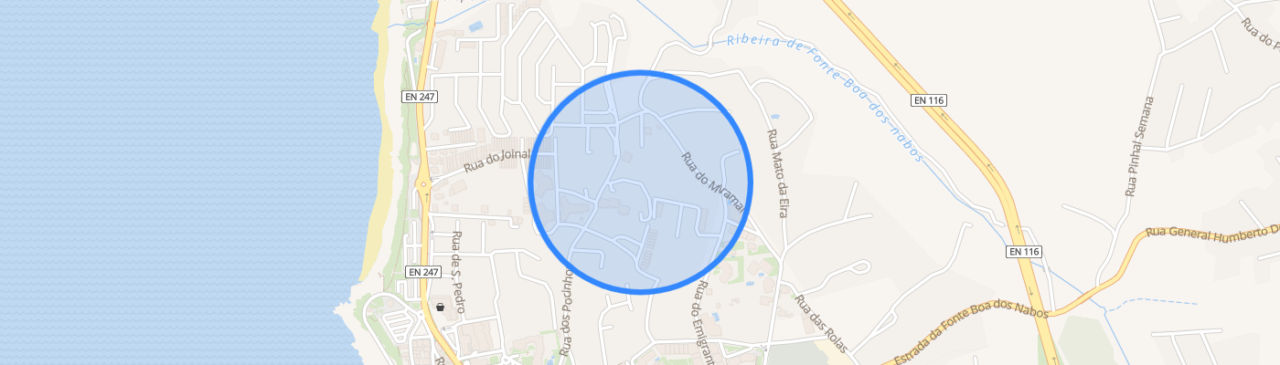 listing-map-picture