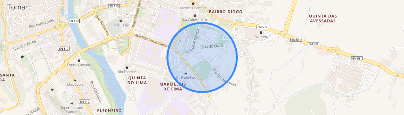 listing-map-picture
