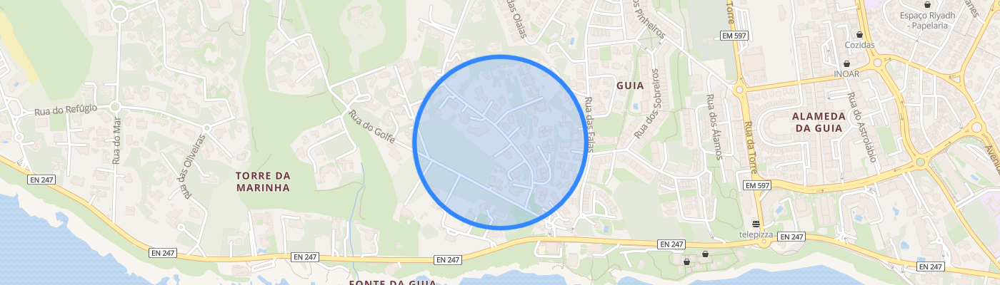 listing-map-picture