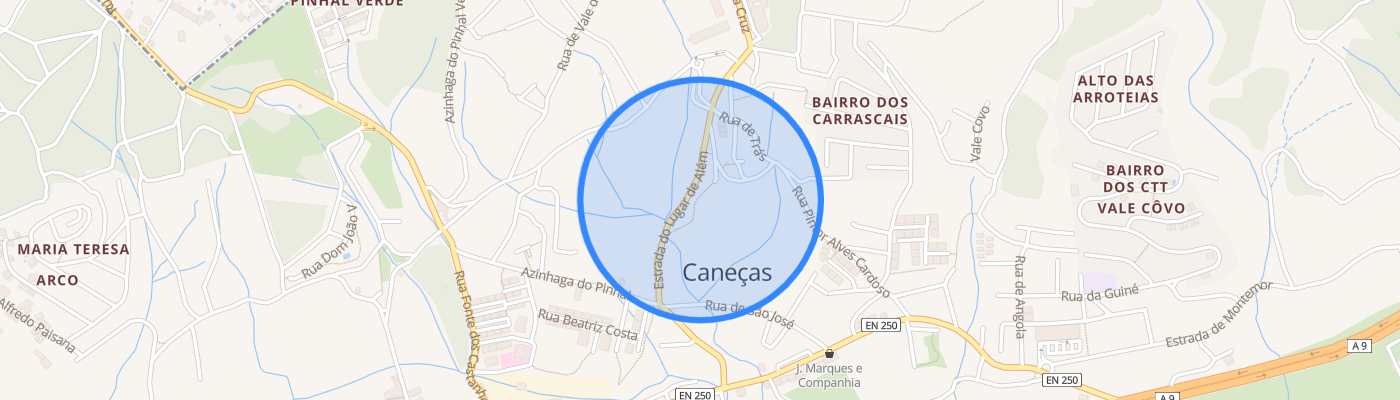 listing-map-picture